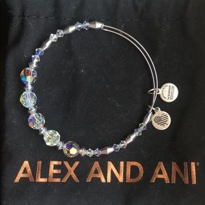 Alex and Ani Transparent Bracelet